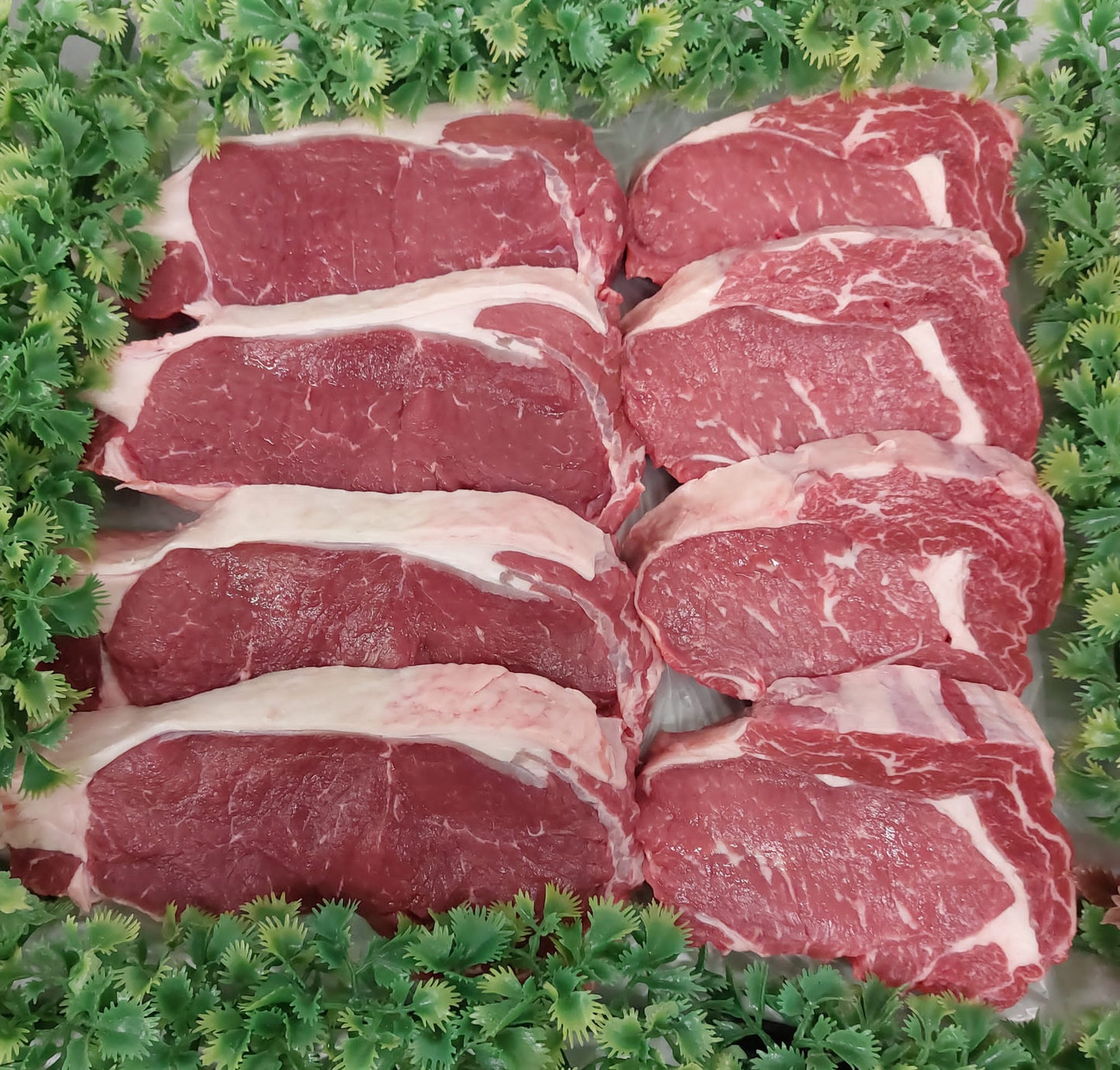 Steak offer of the week