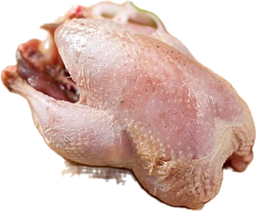 Partridge Whole - Frozen