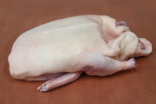 Goose (Frozen)